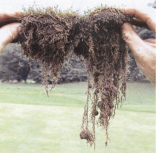 SHE - Soil Health Evaluation